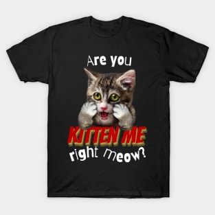 Are You Kitten Me Right Meow T-Shirt